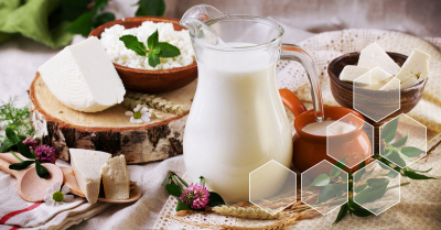 Analýza mléčných produktů a  výrobků s pomocí přístrojů společnosti LECO