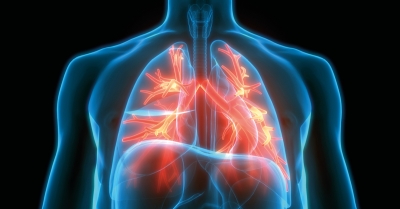 NA POŽÁDÁNÍ | Přístroj GC×GC-HR-TOFMS pro necílený screening metabolomiky dechu