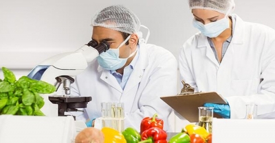 See What&#039;s in Your Food // Food Safety Webinar Series with LECO